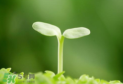 甲醛檢測(cè)儀哪個(gè)牌子好？哪個(gè)牌子的甲醛檢測(cè)儀好？