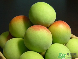 青梅什么時候成熟？青梅幾月份成熟？