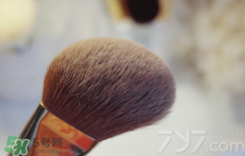 受受狼是哪個國家的？受受狼化妝刷推薦