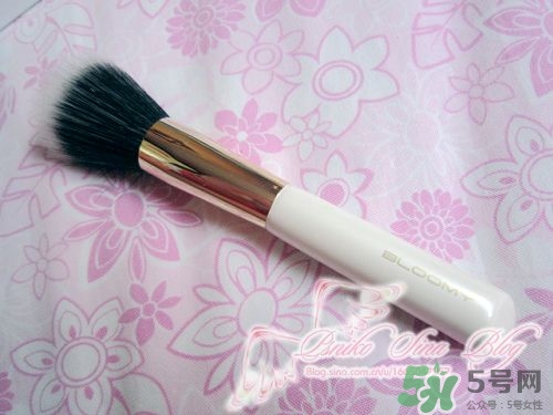bloomy老爺家化妝刷哪款好？bloomy化妝刷推薦