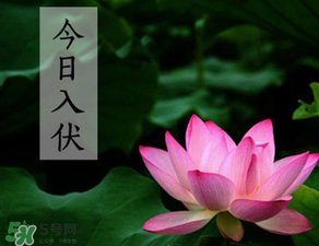 2017年頭伏是哪一天？2017年什么時(shí)候入伏？