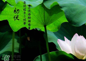 2017年頭伏是哪一天？2017年什么時(shí)候入伏？