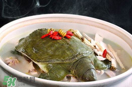 懷孕初期能吃甲魚(yú)嗎？懷孕初期可以吃甲魚(yú)嗎？