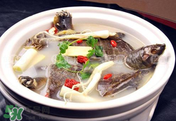 懷孕初期能吃甲魚(yú)嗎？懷孕初期可以吃甲魚(yú)嗎？