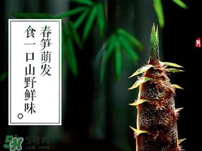 春筍多少錢一斤？春筍多少錢一斤2017？