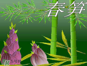 春筍多少錢一斤？春筍多少錢一斤2017？