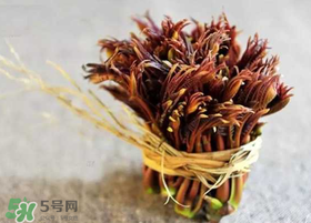 香椿幾月份可以吃？香椿什么時候吃？