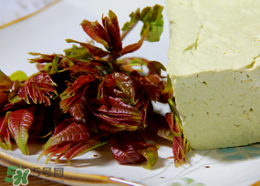 香椿為什么會(huì)苦？香椿苦味怎么回事？