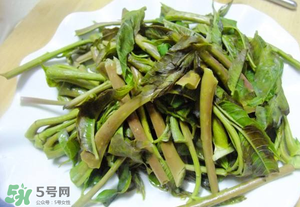 香椿為什么要焯水？香椿怎么焯水？