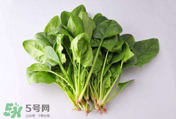 孕婦可以吃菠菜嗎？孕婦菠菜吃多了會(huì)怎樣？
