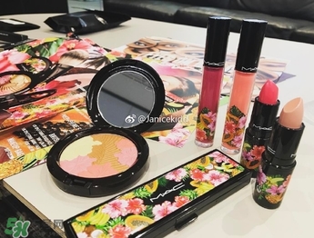 mac2017夏季fruity juicy系列有哪些？