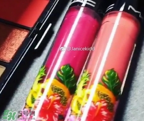 mac2017夏季fruity juicy系列有哪些？