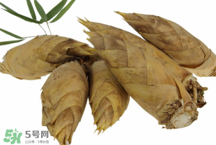 竹筍什么時(shí)候長(zhǎng)出來？竹筍幾月份長(zhǎng)出來？
