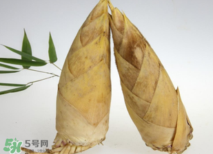 竹筍什么時(shí)候長(zhǎng)出來？竹筍幾月份長(zhǎng)出來？