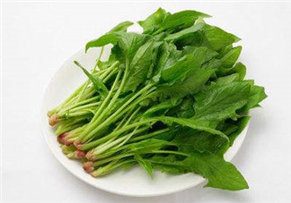 孕婦可以吃菠菜嗎？孕婦菠菜吃多了會(huì)怎樣？