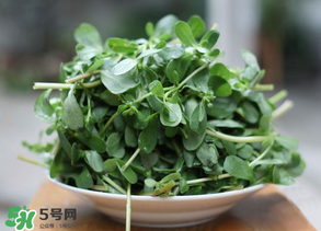 馬齒莧能治白發(fā)嗎？馬齒莧可以治白發(fā)嗎？