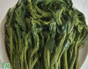 香椿腌制多久可以吃？香椿腌多長時間能吃？