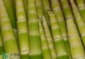 竹筍不焯水有毒嗎？竹筍不過水能吃嗎？