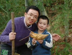 竹筍什么時候挖？竹筍幾月挖？