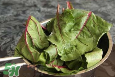 甜菜葉是否可以生吃？甜菜葉可以生吃嗎