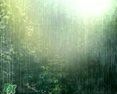 四月份會一直下雨嗎？2017年四月份為什么一直下雨？