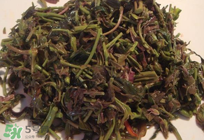 涼拌香椿要過水嗎？香椿涼拌前需要用開水焯一下嗎？