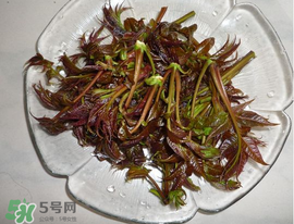 涼拌香椿要過水嗎？香椿涼拌前需要用開水焯一下嗎？