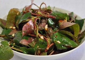 魚腥草根和葉哪個好？魚腥草根好還是葉子好