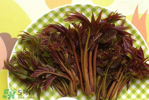 香椿芽可以冷凍嗎？香椿芽怎么冷凍？