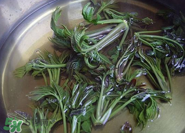 香椿為什么要用開水燙？香椿用開水燙多久？