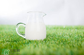 香椿可以和牛奶一起吃嗎？香椿和牛奶能一起吃嗎？