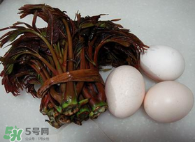 哺乳期可以吃香椿炒雞蛋嗎？哺乳期可以吃香椿炒雞蛋嗎？