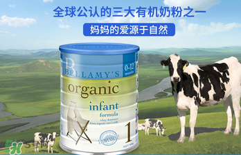 貝拉米奶粉報(bào)價(jià)多少？貝拉米奶粉價(jià)格多少？