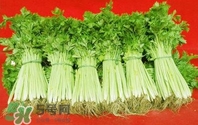 水芹菜怎么吃？水芹菜的做法