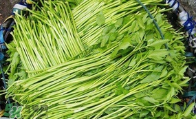 水芹菜怎么吃？水芹菜的做法