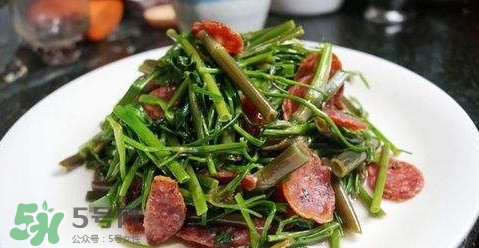 水芹菜孕婦能吃嗎？懷孕的人可以吃水芹菜嗎