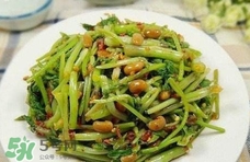 吃水芹菜有什么好處？吃水芹菜有哪些好處
