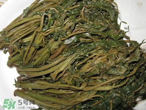 腌香椿要燙嗎？香椿腌之前用不用開水燙？