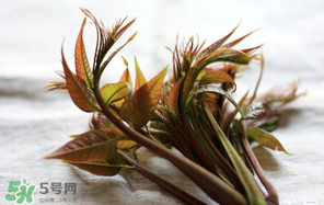 香椿怎么洗？香椿芽怎么洗干凈？