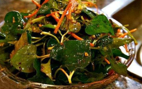魚腥草根和葉哪個(gè)好？魚腥草根好還是葉子好