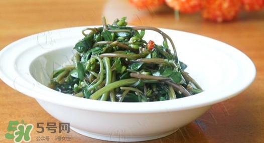 馬莧菜怎么吃？馬莧菜怎么做好吃