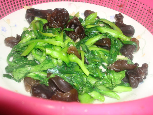 雞毛菜是什么菜？雞毛菜是小白菜嗎