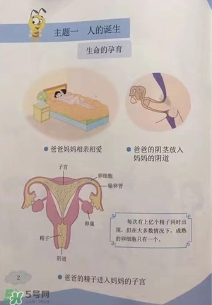 孩子瀏覽成人網(wǎng)站怎么辦？小學(xué)性教育有沒(méi)有必要？