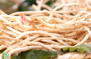 新鮮魚腥草怎么煮水？魚腥草怎么煮水喝