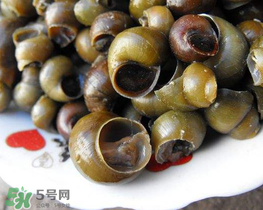 田螺可以凈化水質(zhì)嗎？田螺能凈化水質(zhì)嗎？