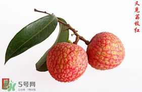 4月份有荔枝嗎？四月份有荔枝嗎？