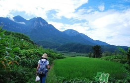 四月份去哪里旅游比較好？四月份最適合旅游的地方
