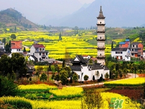 四月份去哪里旅游比較好？四月份最適合旅游的地方