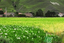四月份去哪里旅游比較好？四月份最適合旅游的地方