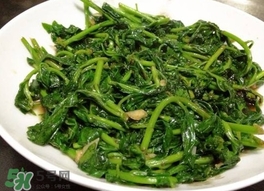 枸杞頭怎么吃？枸杞頭如何吃